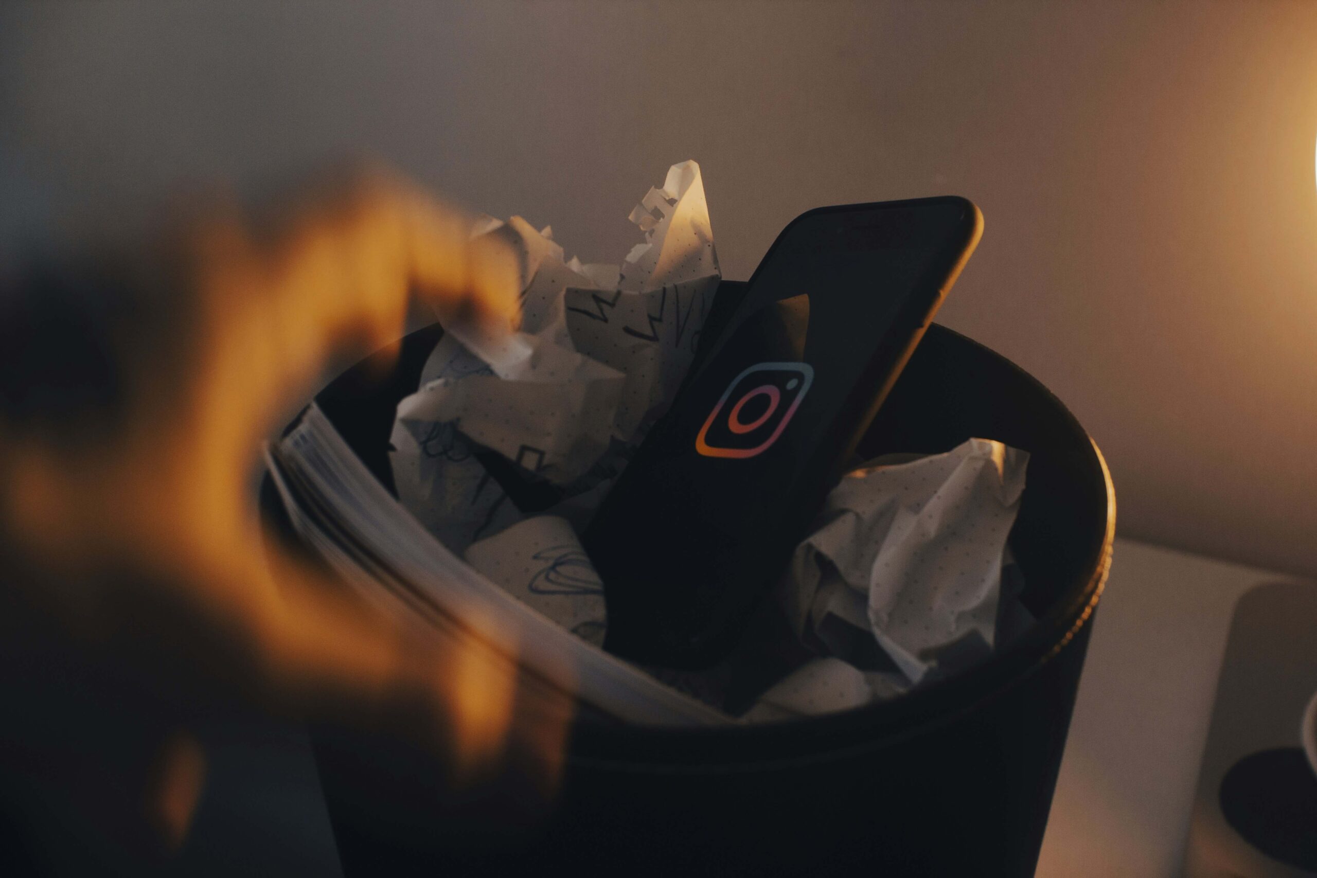 felirbe c TuXVlZNo unsplash ()